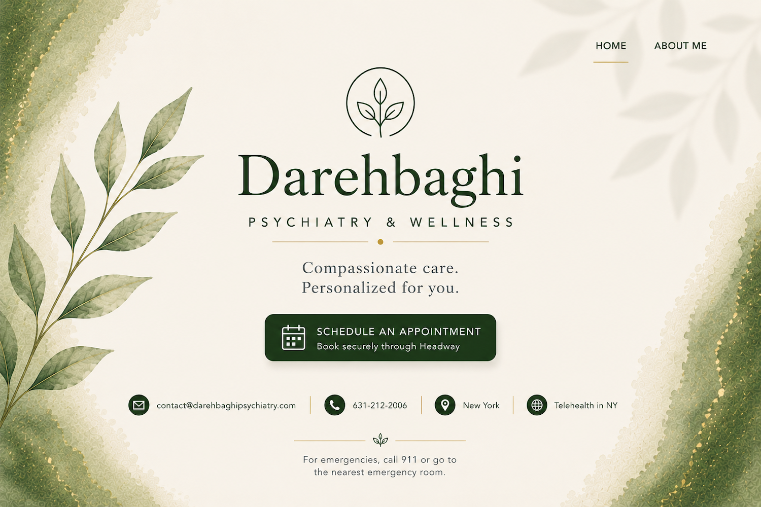 Darehbaghi Psychiatry and Wellness homepage with schedule appointment button, email contact@darehbaghipsychiatry.com, phone 631-212-2006, New York, and telehealth in NY.